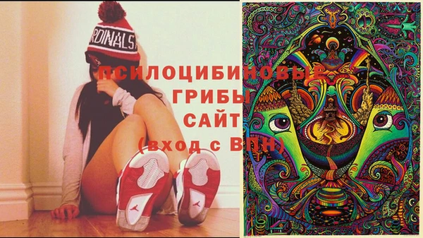 герыч Заводоуковск