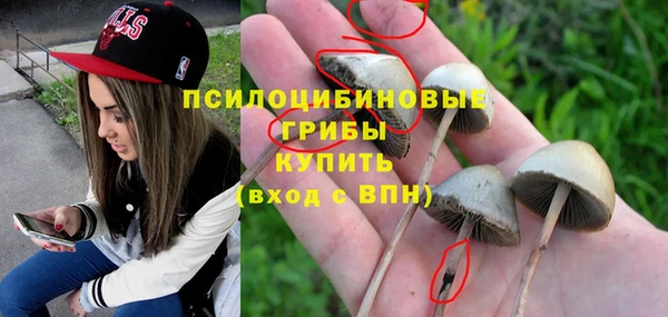 MESCALINE Заволжье