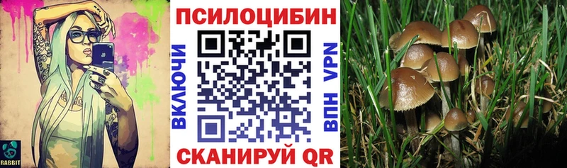 KRAKEN ссылки  Камызяк  Псилоцибиновые грибы мухоморы  магазин   
