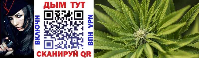 Шишки марихуана Bruce Banner Камызяк